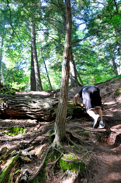 Lee trying to get up a steep hill